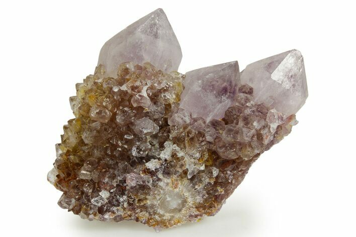 Deep-Purple Cactus Amethyst Crystal Cluster - South Africa #364585